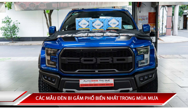 CÁC MẪU ĐÈN BI GẦM PHỔ BIẾN NHẤT TRONG MÙA MƯA 2024